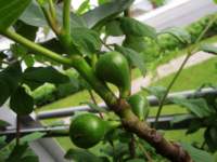 img_6741fx_small.jpg