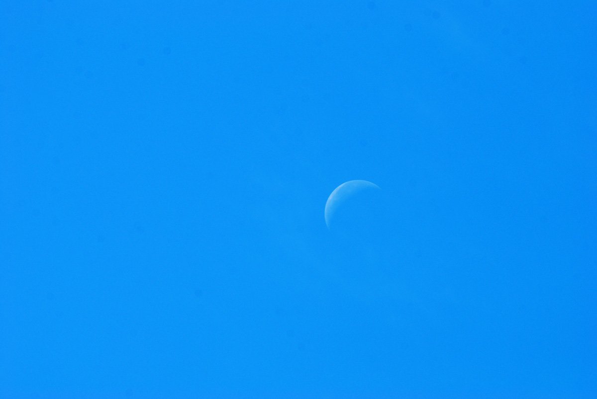 dsc_9584fx.jpg