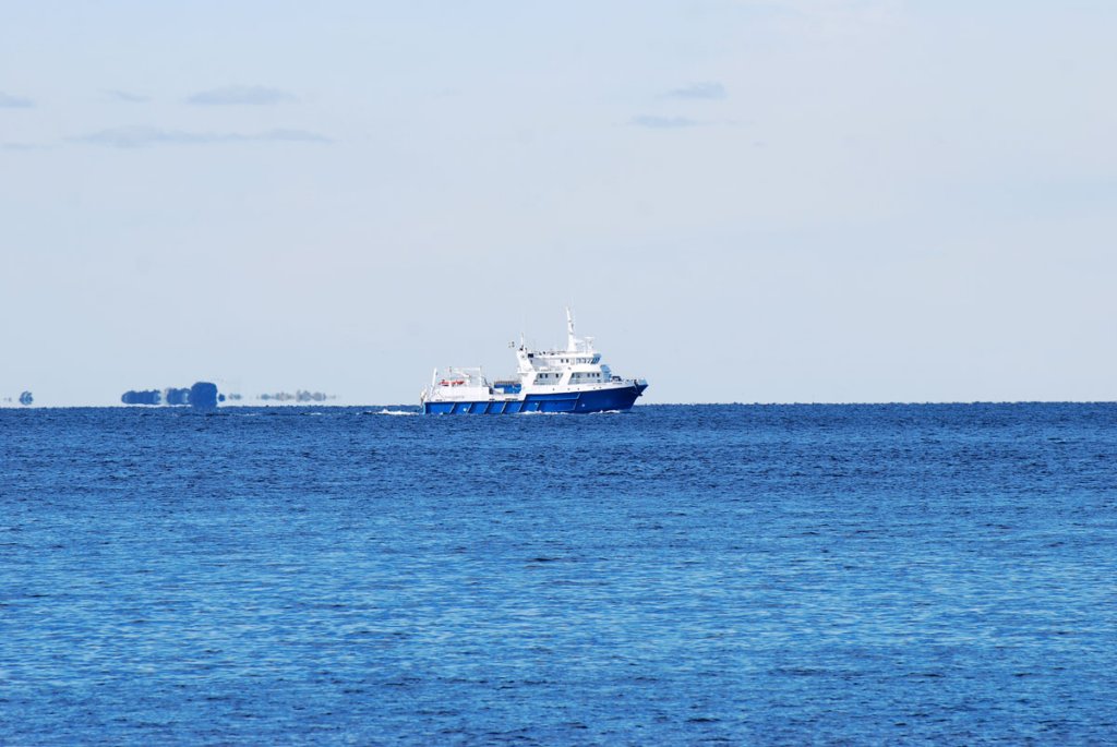 dsc_0011fx.jpg
