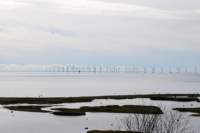 dsc_9992fx_small.jpg