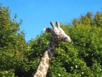 img_7465fx_small.jpg