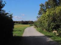 img_7470fx_small.jpg