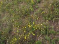 img_7580fx_small.jpg
