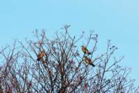 dsc_0130fx_small.jpg