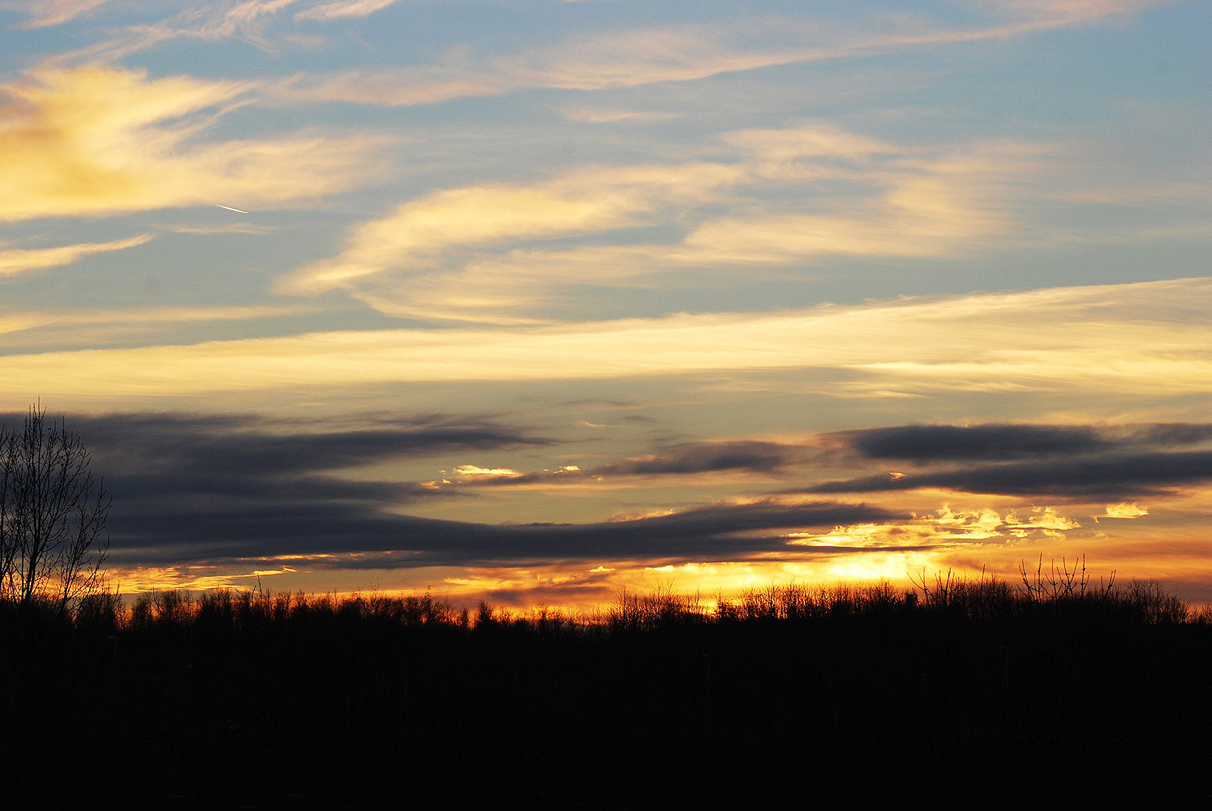 dsc_01382000px.jpg