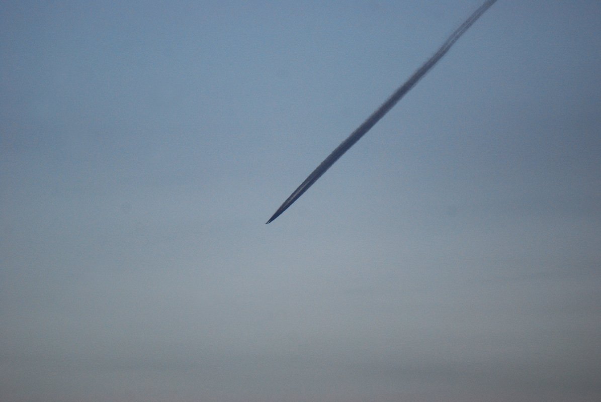 dsc_0413fx.jpg