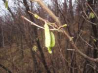 img_7720fx_small.jpg