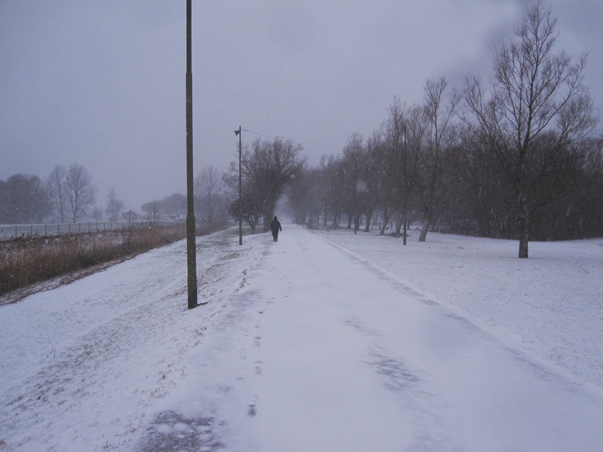 img_7739fx.jpg