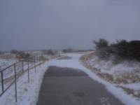 img_7741fx_small.jpg