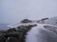 img_7744fx_small.jpg
