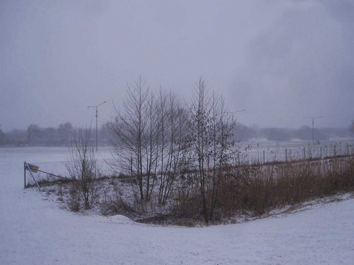 img_7738fx.jpg