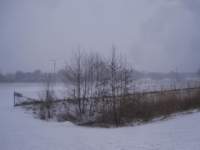 img_7738fx_small.jpg