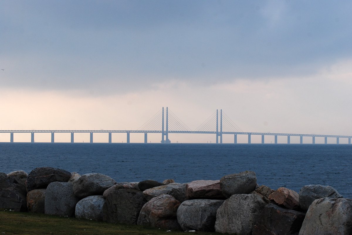 dsc_0509fx.jpg