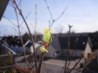 img_7871fx_small.jpg