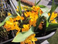 img_7873fx_small.jpg