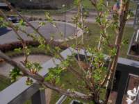 img_7875fx_small.jpg