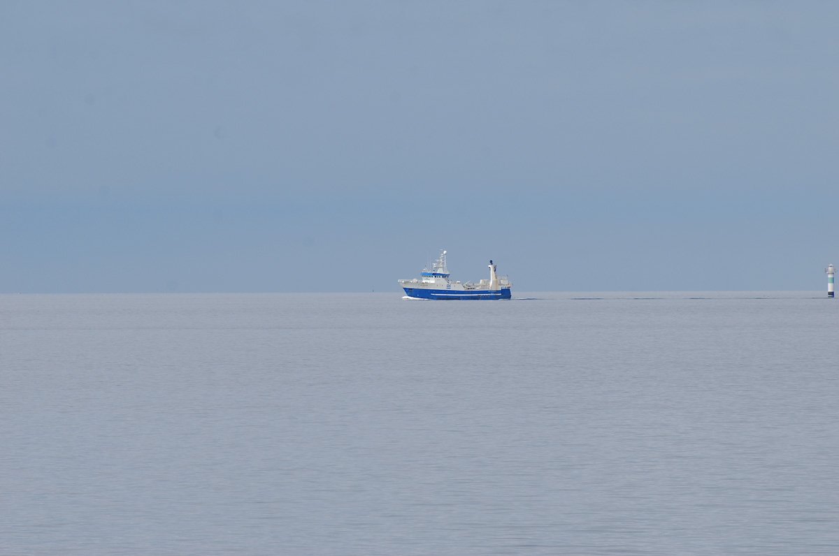 dsc_0552fx.jpg