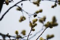 dsc_0579fx_small.jpg