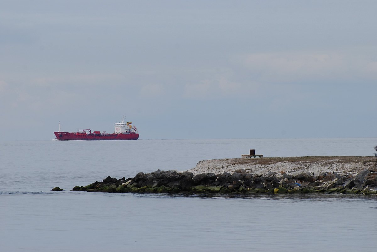 dsc_0593fx.jpg