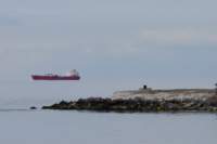 dsc_0593fx_small.jpg