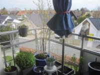 img_7910fx_small.jpg