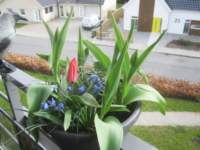 img_7911fx_small.jpg