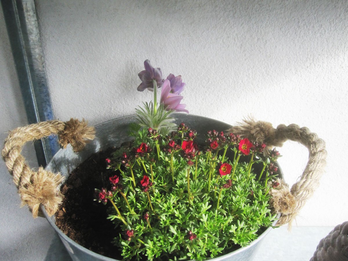 img_7913fx.jpg
