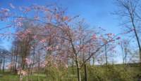 img_7928fx_small.jpg