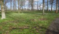 img_7932fx_small.jpg