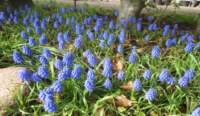 img_7933fx_small.jpg