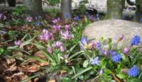 img_7935fx_small.jpg
