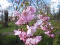 img_7930fx_small.jpg