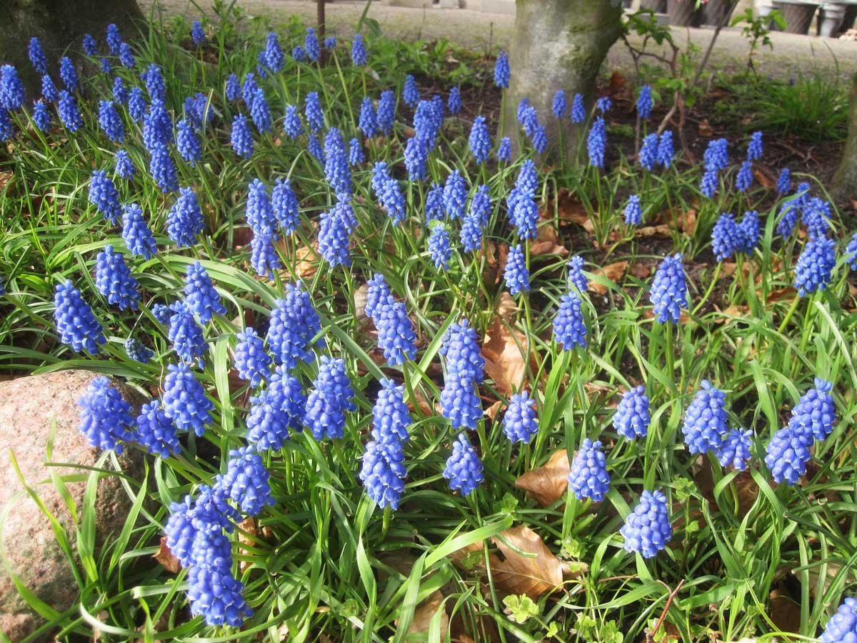 img_7933fx.jpg