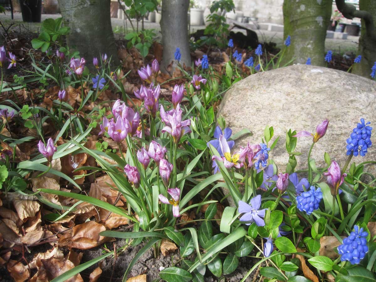 img_7935fx.jpg