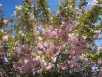 img_7997fx_small.jpg