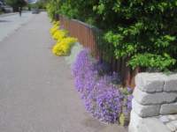 img_7999fx_small.jpg