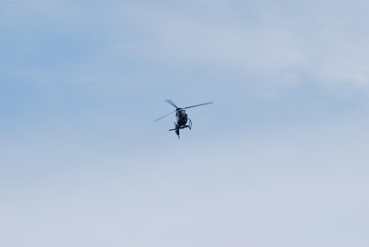 dsc_0968fx.jpg