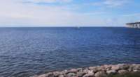 img_8380fx_small.jpg