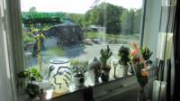 img_0108fx_small.jpg