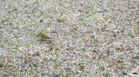 img_0028fx_small.jpg