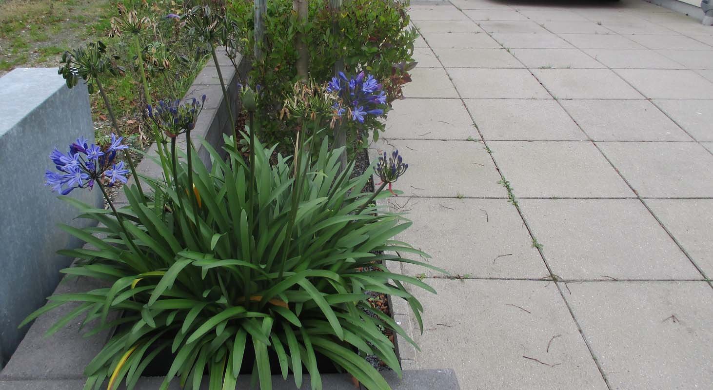 img_0216fx.jpg