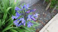 img_0217fx_small.jpg
