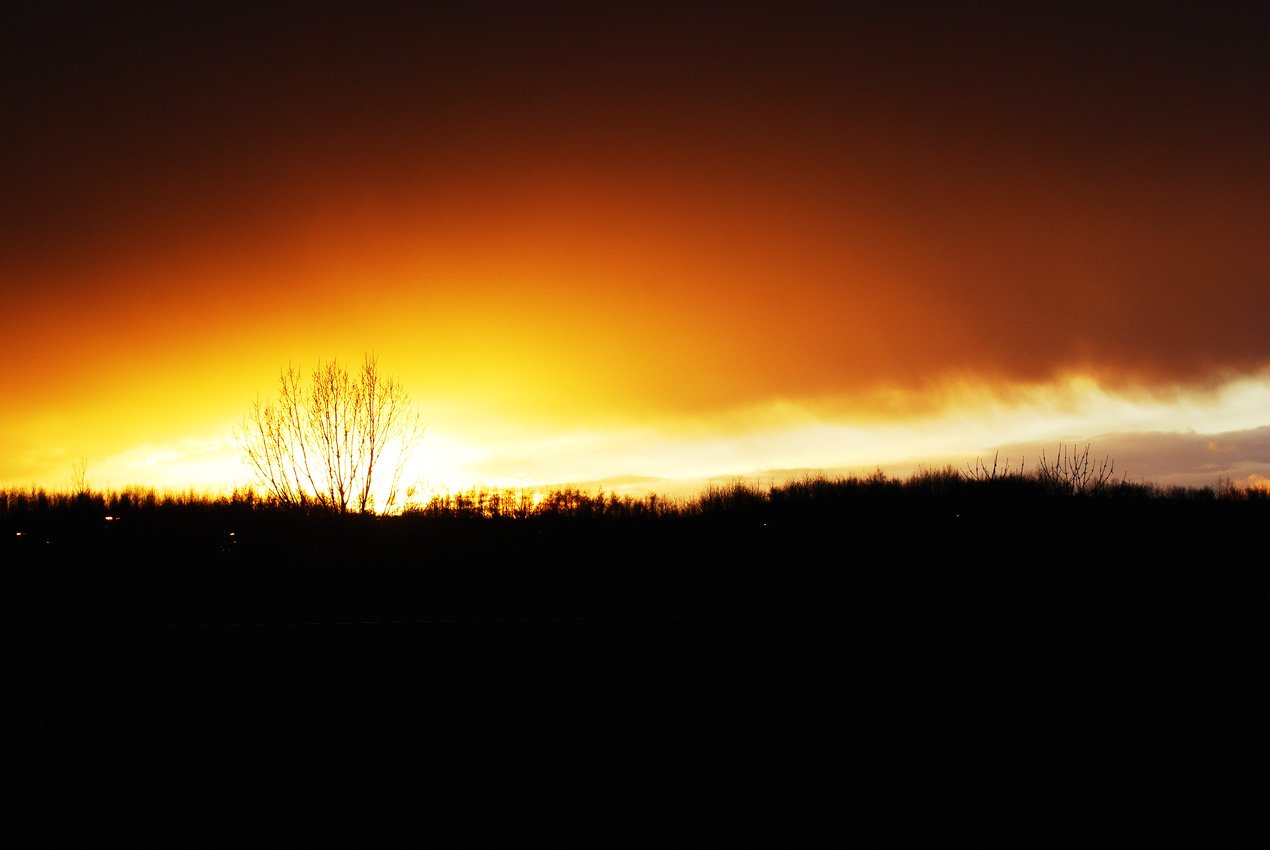 dsc_1190fx.jpg