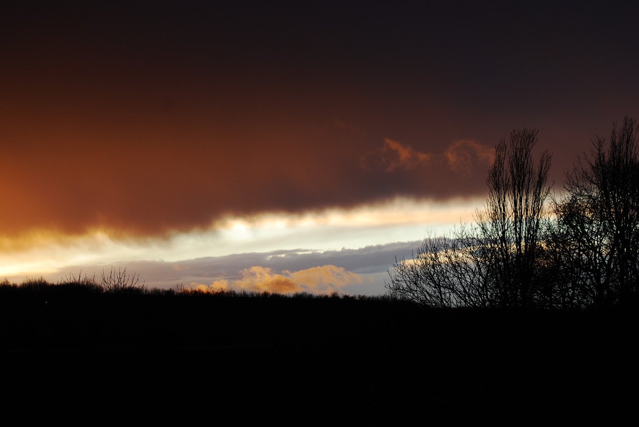 dsc_1192fx.jpg