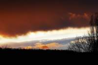 dsc_1193fx_small.jpg