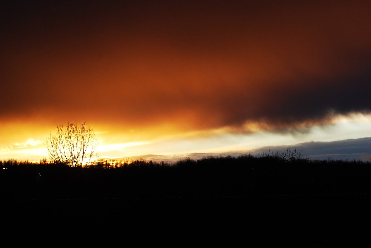 dsc_1197fx.jpg