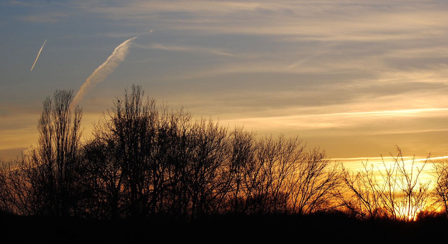 dsc_1470fx.jpg