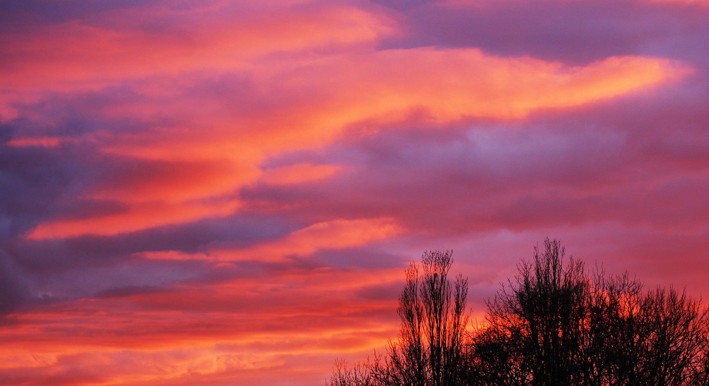 dsc_1522fx.jpg