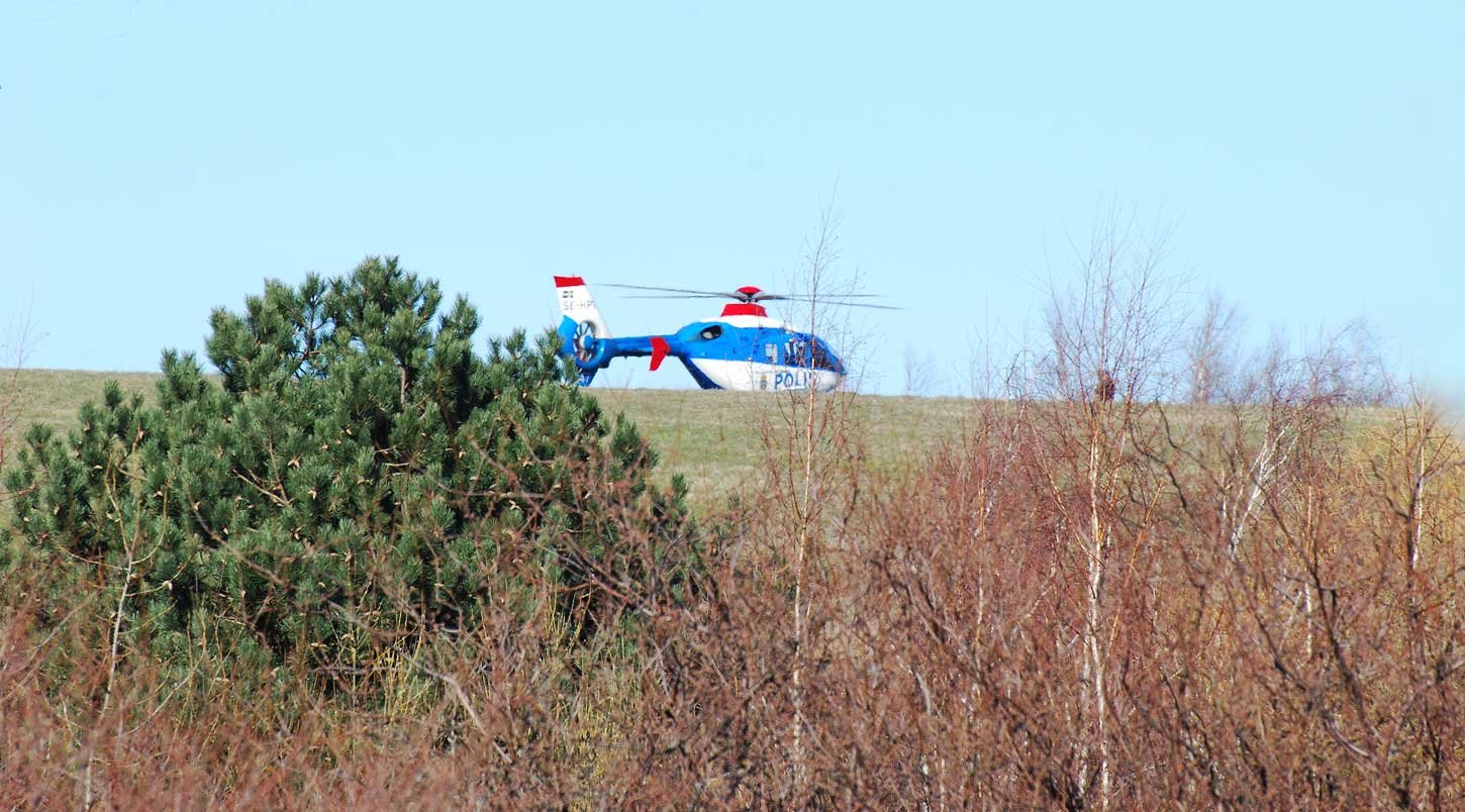 dsc_1542fx.jpg