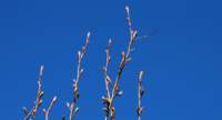 dsc_1569fx_small.jpg